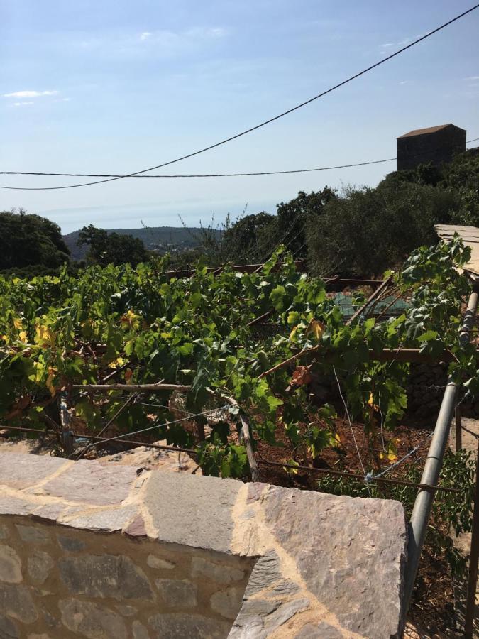 γαλήνη στα πιο άγρια τοπία της μάνης Lodge Λάγια